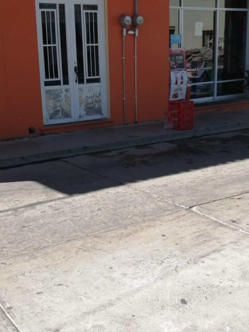 Dueña de tienda en Ixtenco, ejerce violencia contra los animales, pone comida envenenada, mueren&nbsp;perros