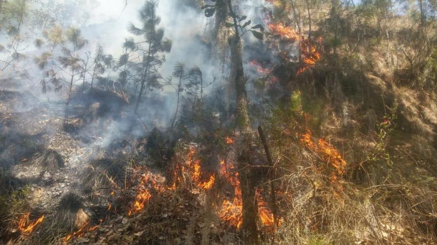 Sofoca PC de Ixtenco incendió en el Cerro de&nbsp;Xalapasco