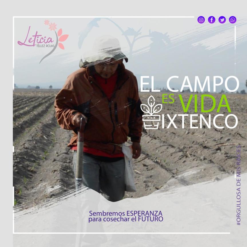 Pide Leticia Téllez a candidatos no olvidar propuestas para el&nbsp;campo