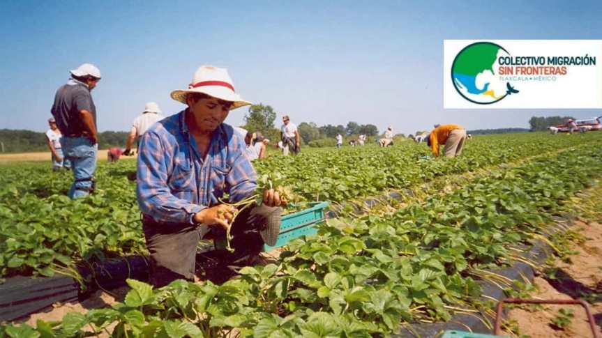 ¿Por qué usar lenguaje incluyente en la migración? ¿Ilegal,&nbsp;mojado?