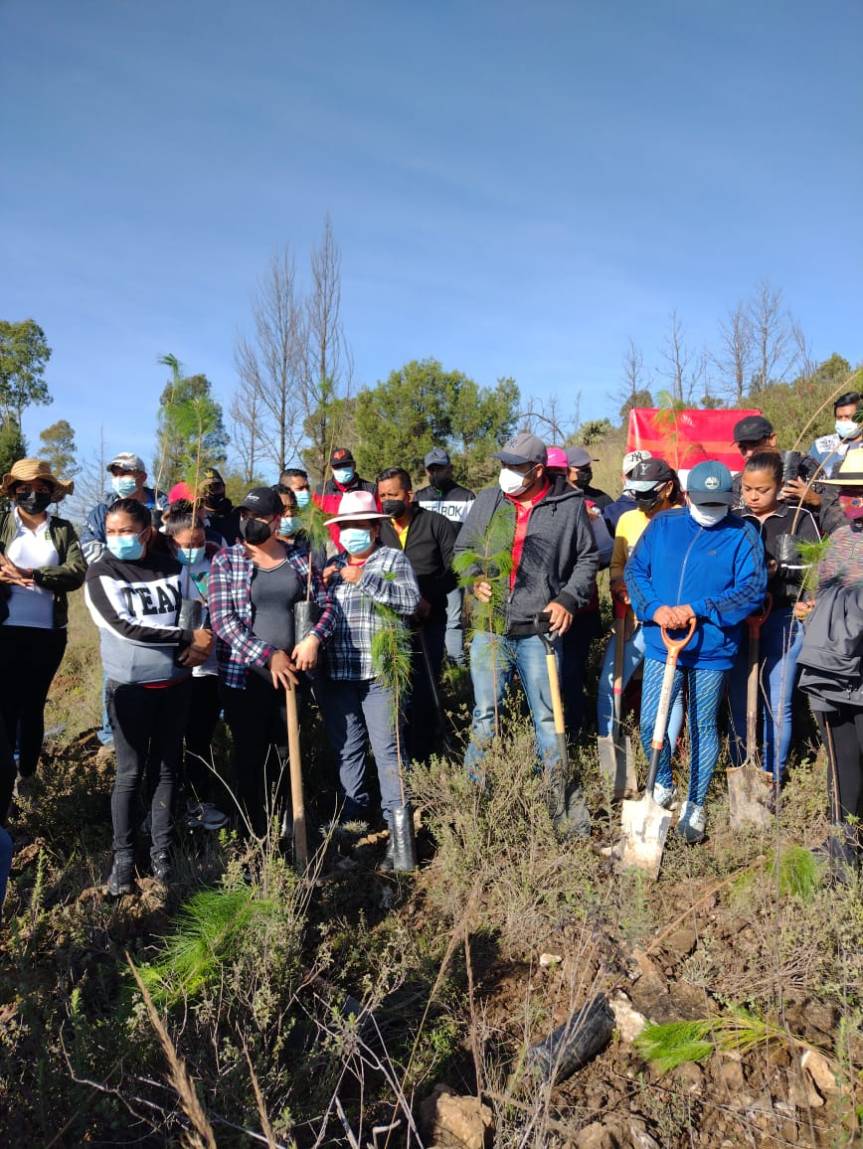 Reforestar el Cerro San Andrés; una de las primeras acciones del alcalde de&nbsp;Tzompantepec