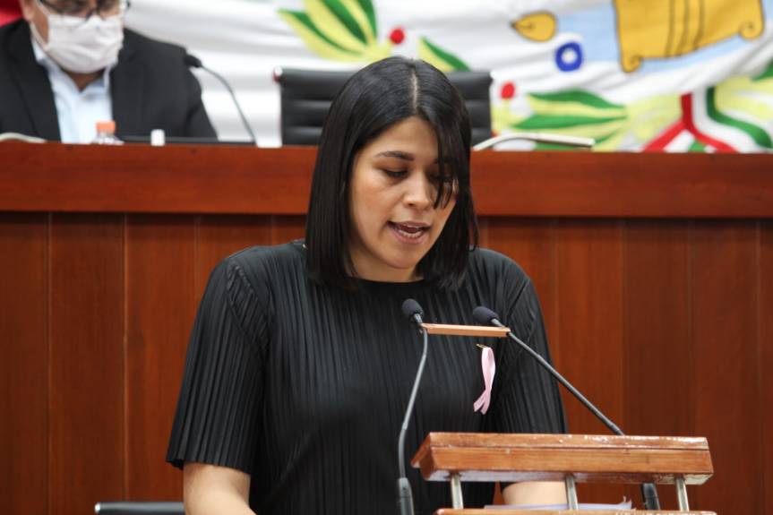 INTEGRAR Y ORGANIZAR DEBIDAMENTE UNIDAD DE TRANSPARENCIA DEL CONGRESO, PROPONE DIANA&nbsp;TORREJÓN