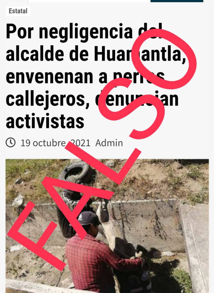 <strong>Falso que el Gobierno de Huamantla autorice envenenamiento de perros callejeros.</strong>