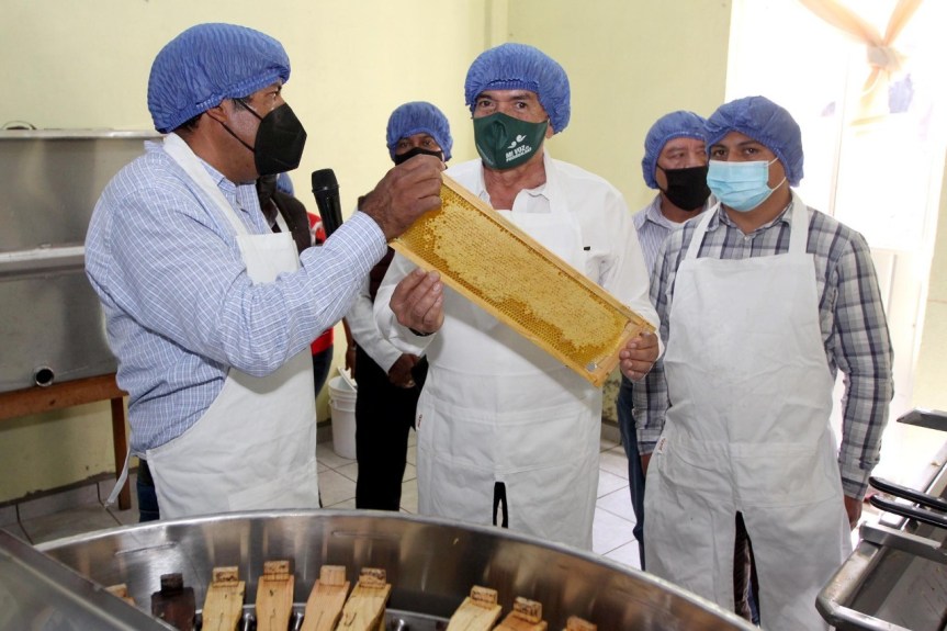 ATIENDE SEFOA A MÁS DE 100 APICULTORES CON ACOMPAÑAMIENTO&nbsp;TÉCNICO