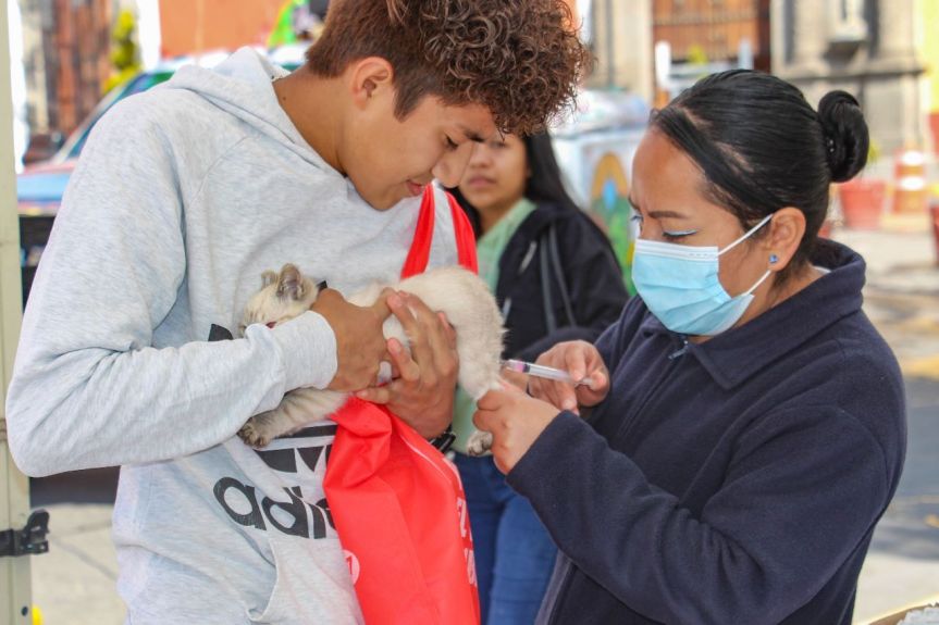 ÚLTIMOS DÍAS DE VACUNACIÓN ANTIRRÁBICA CANINA Y FELINA EN EL PARQUE JUÁREZ Y CENTRO DE SALUD URBANO DE&nbsp;HUAMANTLA