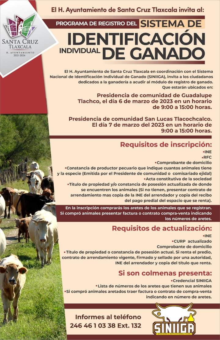 Ayuntamiento de Santa cruz Tlaxcala, invita al programa de identificación de&nbsp;ganado