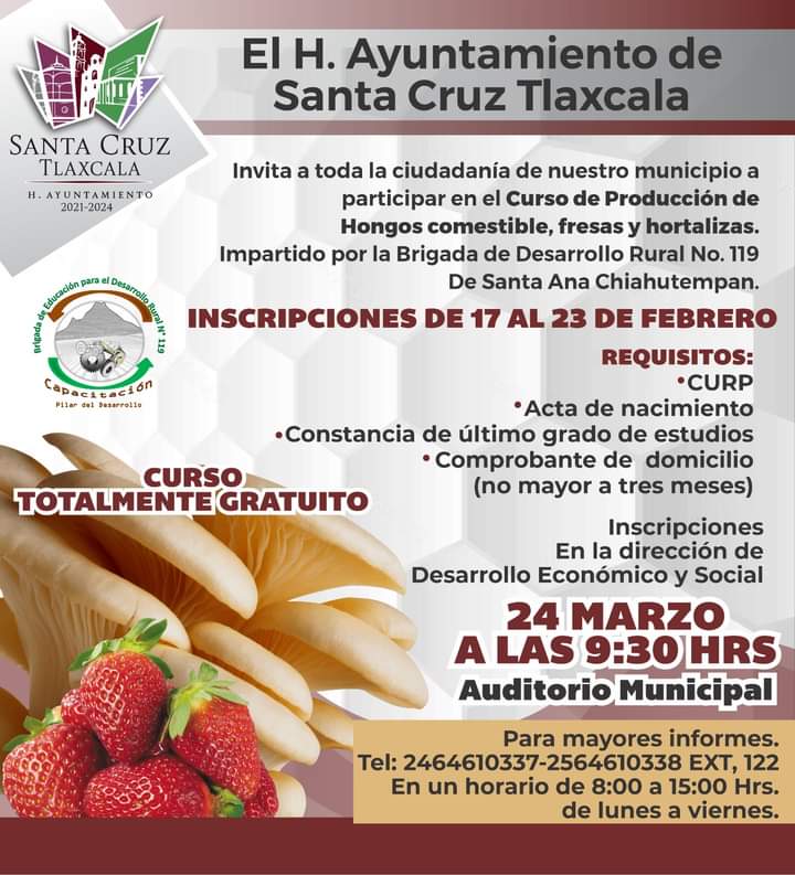 Ayuntamiento de Santa Cruz Tlaxcala invita a curso de Producción de hongos comestibles, fresas y&nbsp;hortalizas