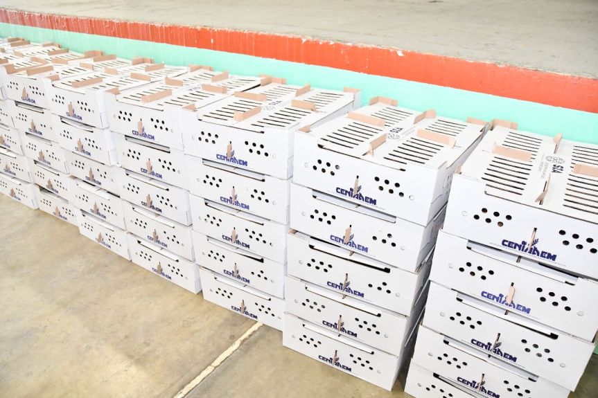 INVITA AYUNTAMIENTO DE HUAMANTLA Y SIA A ADQUIRIR PAQUETES DE ESPECIES MENORES A BAJO&nbsp;COSTO