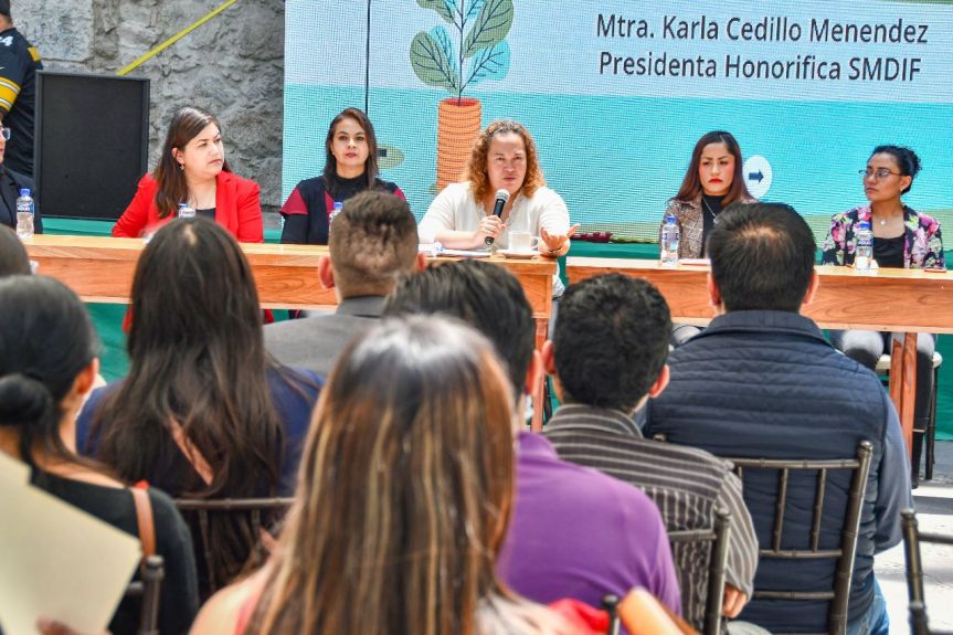 PRESENTA SMDIF HUAMANTLA PLAN DE TRABAJO SOBRE SALUD MENTAL Y&nbsp;EMOCIONAL