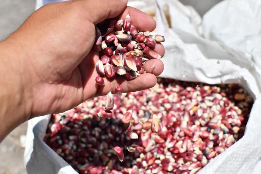 AGRICULTORES LOCALES OFRECEN SUS PRODUCTOS DE MANERA DIRECTA EN UNA EDICIÓN MÁS DEL TIANGUIS “MIS SEMILLAS&nbsp;HUAMANTLECAS”