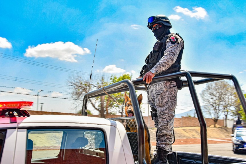 ASEGURA POLICÍA DE HUAMANTLA A 12 PERSONAS POR PORTACIÓN Y CONSUMO DE ESTUPEFACIENTES EN LA VÍA&nbsp;PÚBLICA