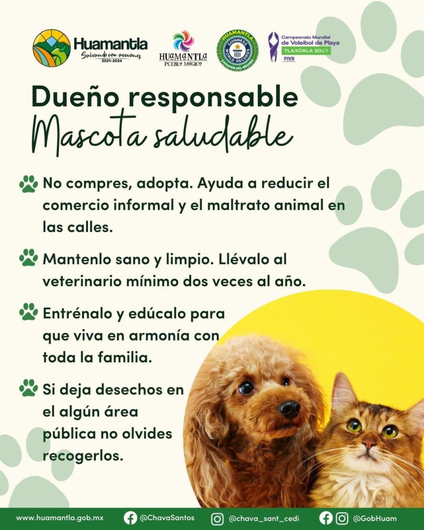 AYUNTAMIENTO DE HUAMANTLA FOMENTA LA TENENCIA RESPONSABLE DE&nbsp;MASCOTAS
