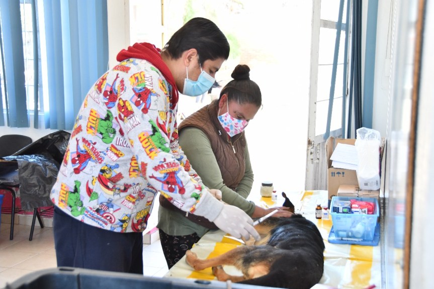 ESTE VIERNES LLEGAN LAS JORNADAS DE ESTERILIZACIÓN CANINA Y FELINA A&nbsp;HUAMANTLA
