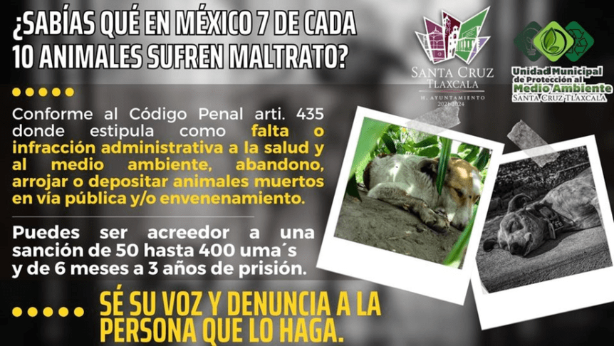 SANTA CRUZ TLAXCALA A FAVOR DEL BIENESTAR&nbsp;ANIMAL