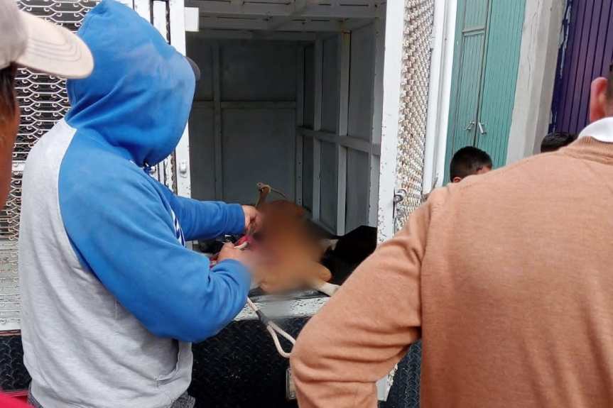  PRESENTA AYUNTAMIENTO DE HUAMANTLA DENUNCIA ANTE LA PROPAET POR MALTRATO&nbsp;ANIMAL