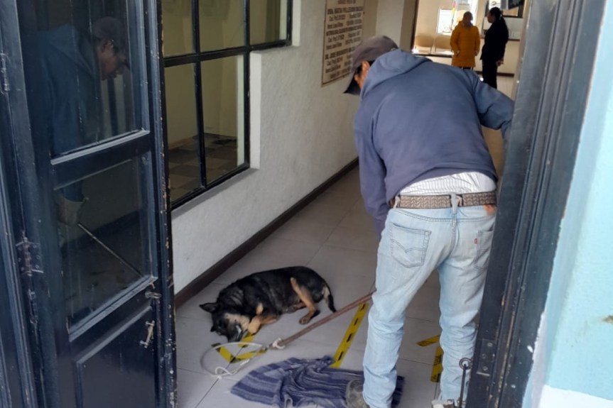 UNIDAD CANINA DE HUAMANTLA BRINDA APOYO EN EL TRASLADO DE UN ANIMAL&nbsp;ENFERMO