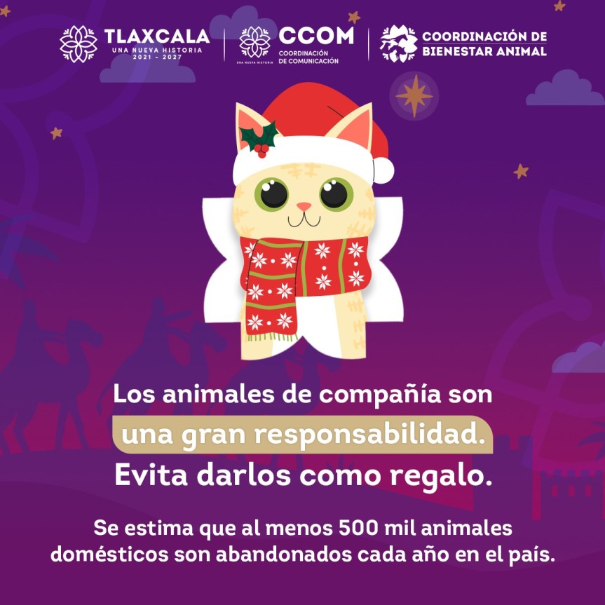 PIDEN A REYES MAGOS EVITAR REGALAR ANIMALES DE&nbsp;COMPAÑÍA
