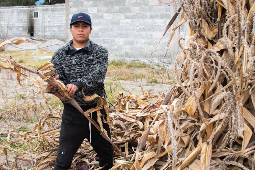 INVITA GOBIERNO DE HUAMANTLA A PRODUCTORES AGRÍCOLAS A PARTICIPAR EN EL PROGRAMA DE APOYO AL SECTOR&nbsp;2024