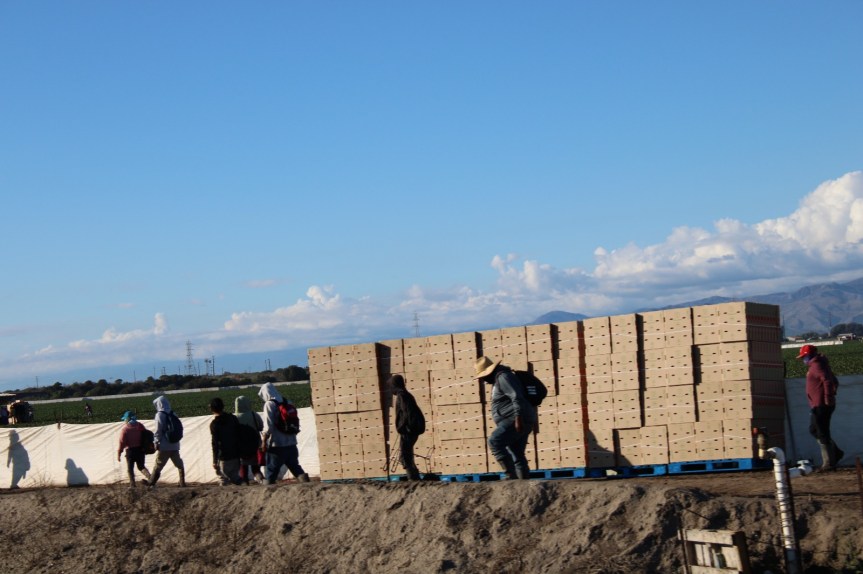 MIGRANTES TLAXCALTECAS PUEDEN AFILIARSE AL IMSS Y GOZAR DE SERVICIOS DE SALUD Y SEGURIDAD&nbsp;SOCIAL