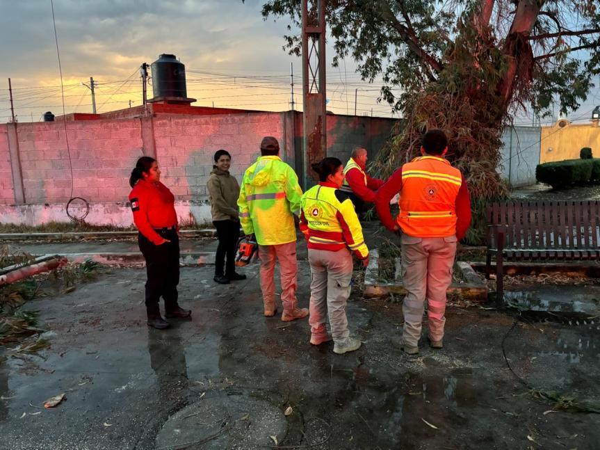 ATIENDE PROTECCIÓN CIVIL DE HUAMANTLA REPORTE POR CAÍDA DE RAMA DE ÁRBOL POR LLUVIAS&nbsp;MODERADAS
