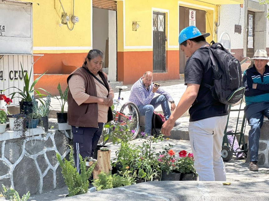 DESCUBRE LA RIQUEZA DEL CAMPO DE HUAMANTLA EN EL TIANGUIS MIS SEMILLAS&nbsp;HUAMANTLECAS