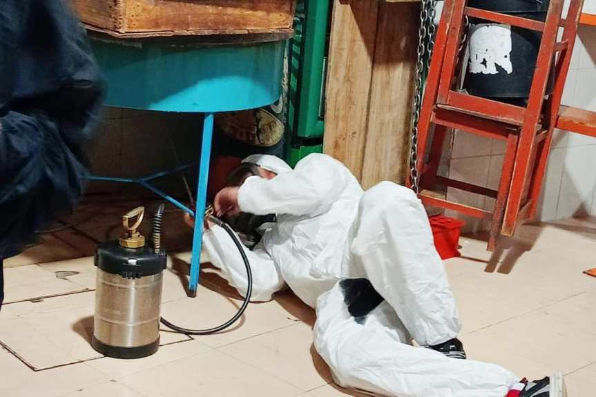 REALIZAN JORNADA DE LIMPIEZA Y FUMIGACIÓN EN MERCADO MUNICIPAL DE&nbsp;HUAMANTLA