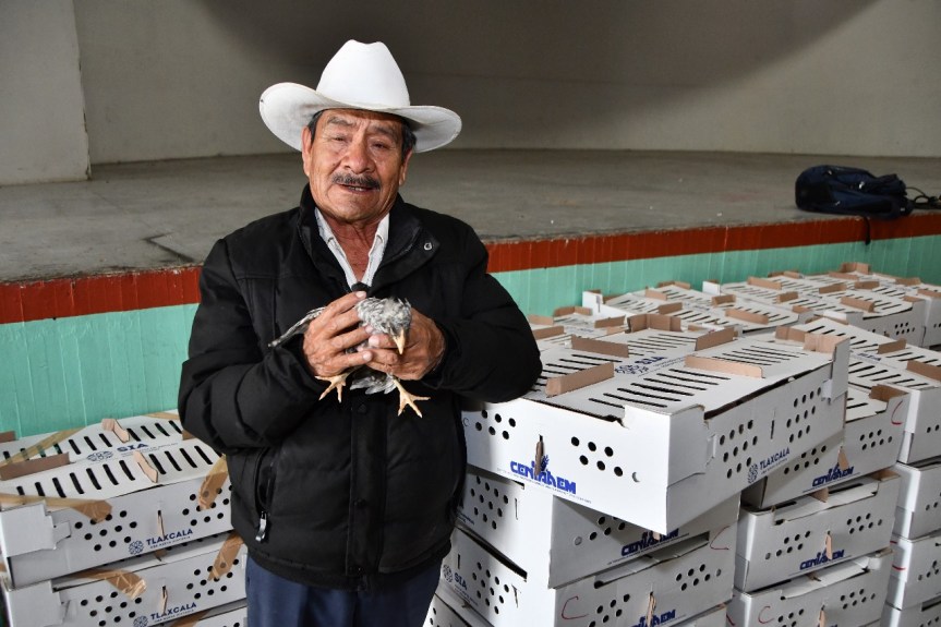 SE FORTALECE LA ECONOMÍA Y ALIMENTACIÓN EN HUAMANTLA A TRAVÉS DE LA ENTREGA DE PAQUETES DE AVES DE&nbsp;POSTURA