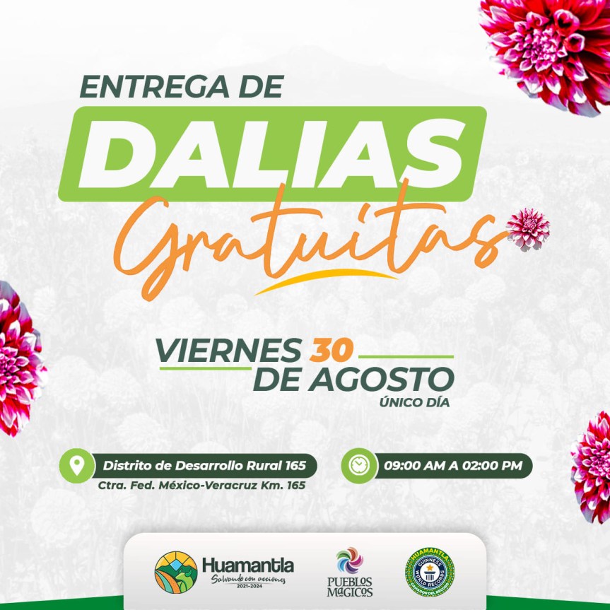 ENTREGARÁ PLANTAS DE DALIA AYUNTAMIENTO DE&nbsp;HUAMANTLA