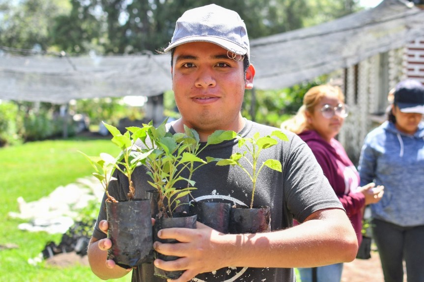 SE PINTAN DE COLORES HOGARES DE HUAMANTLA CON ENTREGA GRATUITA DE DALIAS 