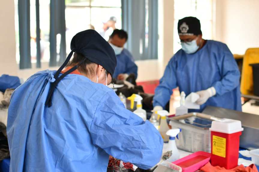 EN FAVOR DEL BIENESTAR ANIMAL, INICIA GOBIERNO DE HUAMANTLA CAMPAÑA DE ESTERILIZACIÓN DE PERROS Y&nbsp;GATOS