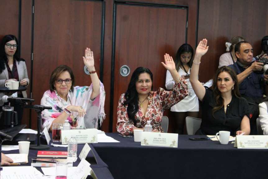 Senado aprueba en comisiones unidas la minuta sobre derechos de pueblos indígenas y&nbsp;afromexicanos