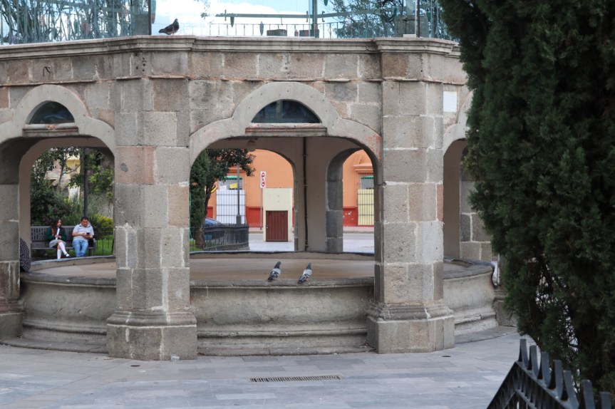 Se llevarán a cabo labores de limpieza y protocolo de reubicación de palomas en el Parque de&nbsp;Ixtenco