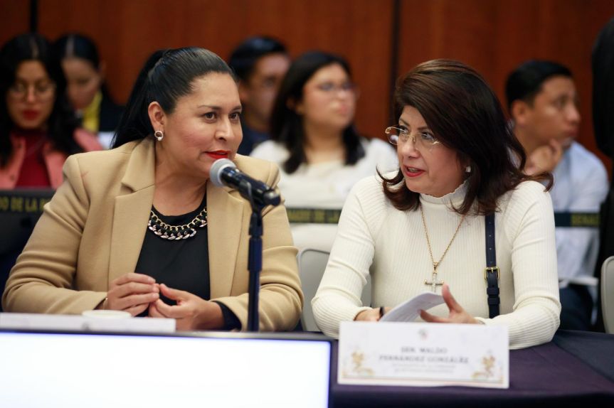 Aprobamos el derecho a una vivienda digna para todas y todos los mexicanos: Ana Lilia&nbsp;Rivera