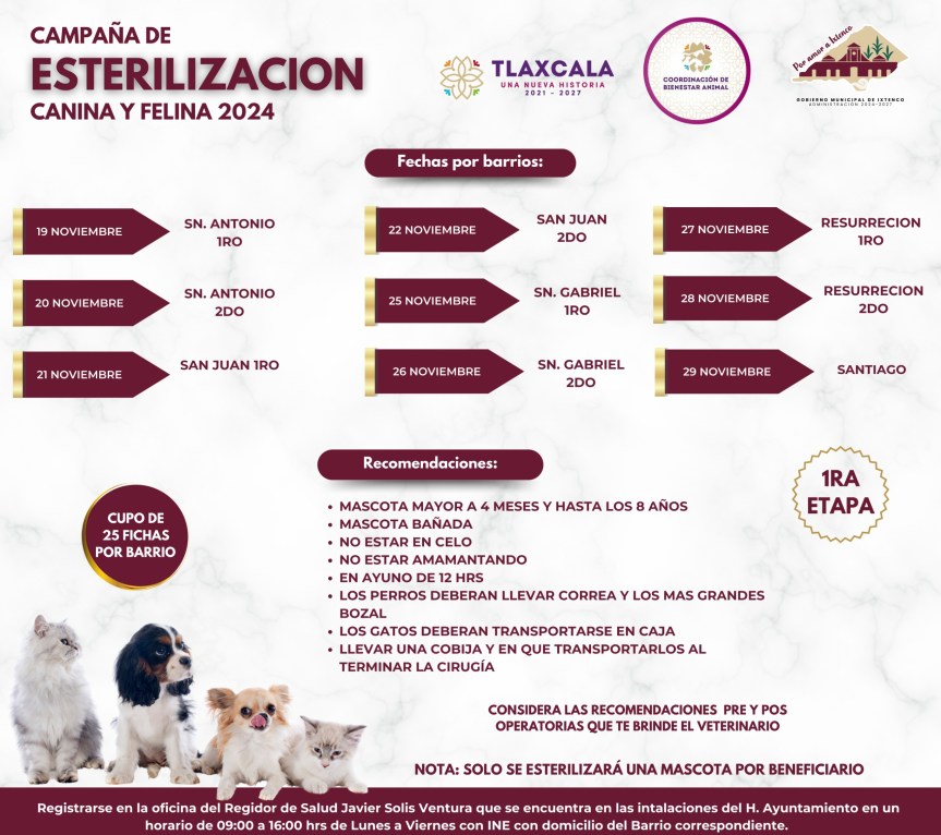 Con campañas de esterilización combatirán fauna canina y gatuna en&nbsp;Ixtenco
