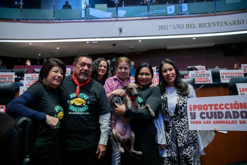 Ana Lilia Rivera celebra la reforma en materia de Bienestar Animal que garantiza los derechos de los&nbsp;animales