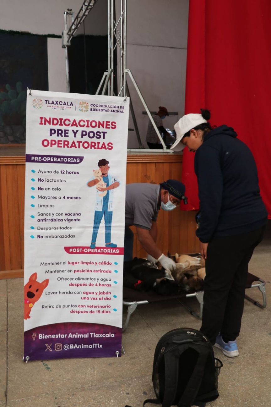 La campaña de esterilización busca controlar la sobrepoblación animal en&nbsp;Ixtenco