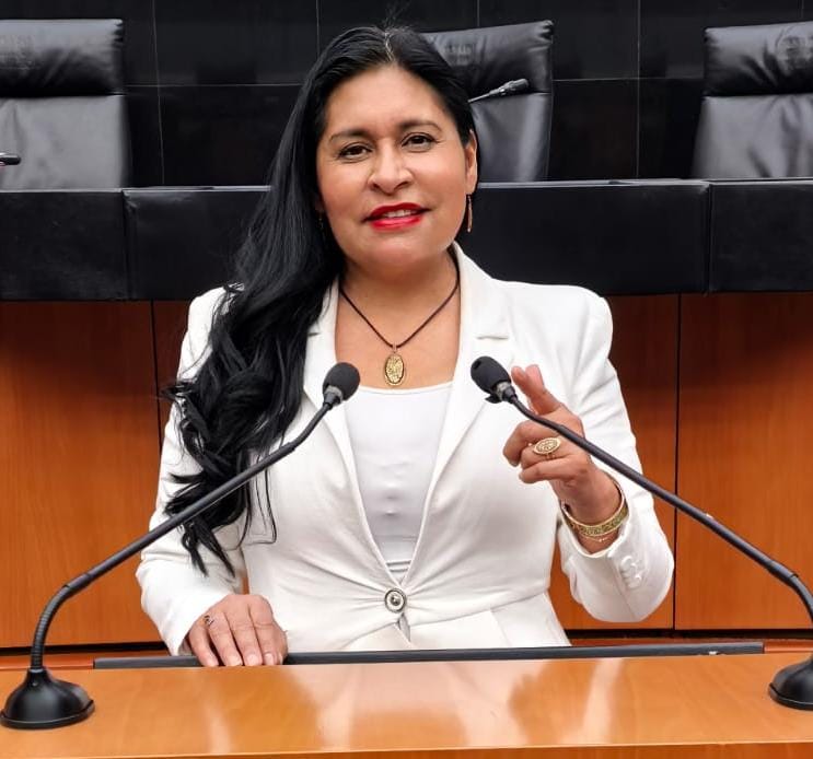 Apoya Ana Lilia Rivera acceso y uso seguro de Internet para Niñas, Niños y&nbsp;Adolescentes