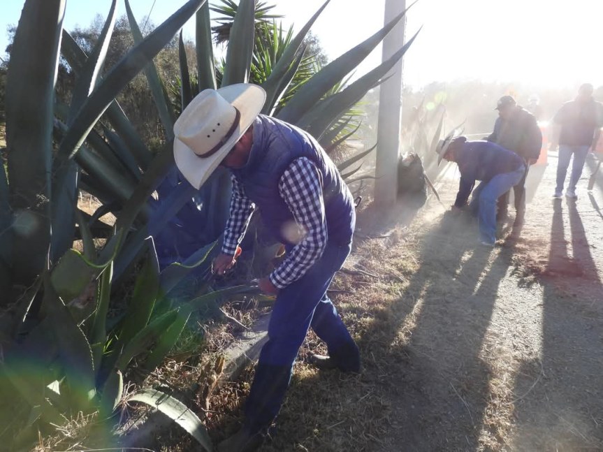 Inicia “Faena Comunitaria” en Yauhquemehcan en coordinación con&nbsp;SEPE-USET.