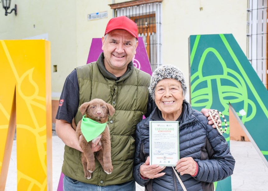 OFRECE CLÍNICA BIOFÍLICA DE HUAMANTLA SERVICIOS VETERINARIOS DE CALIDAD Y A BAJO COSTO PARA LAS&nbsp;MASCOTAS