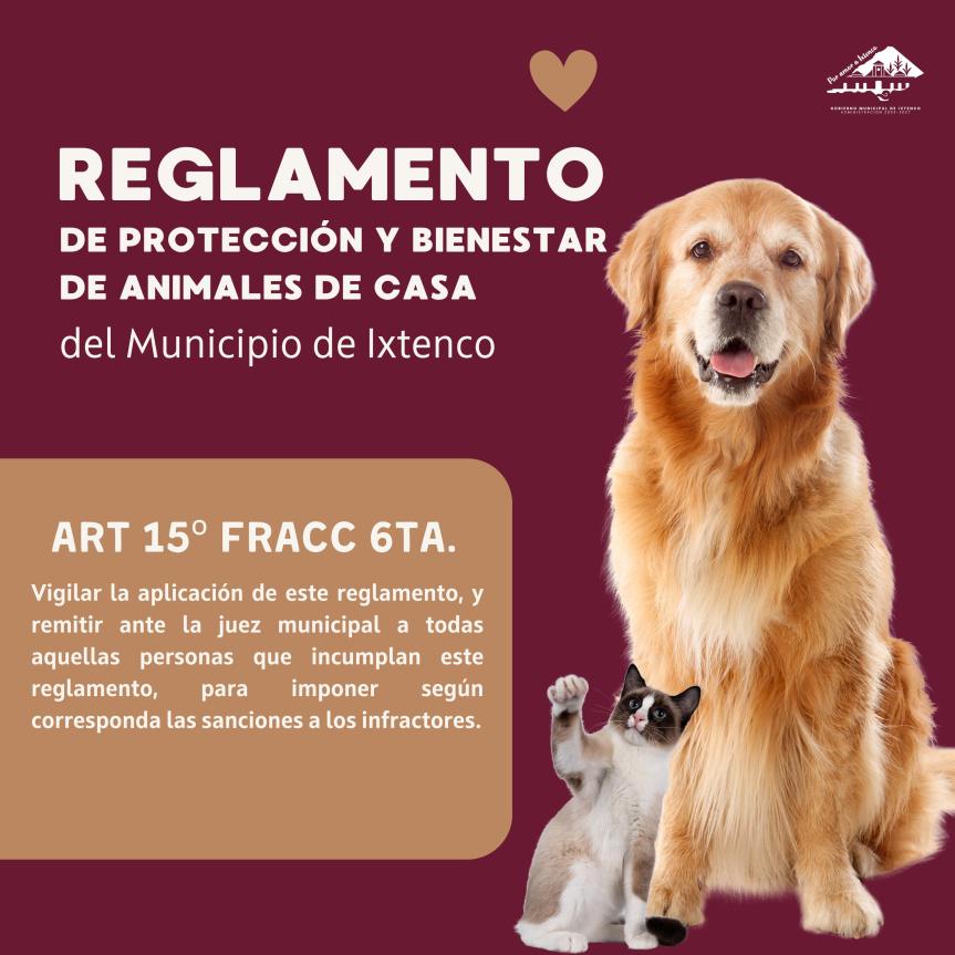 Arranca socialización del Reglamento de Protección y Bienestar de Animales de Casa en&nbsp;Ixtenco