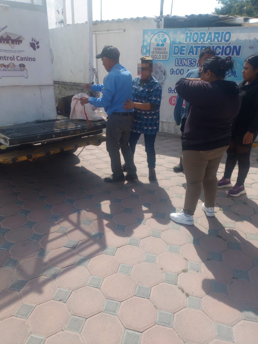 Condena gobierno de Ixtenco actos de maltrato&nbsp;animal