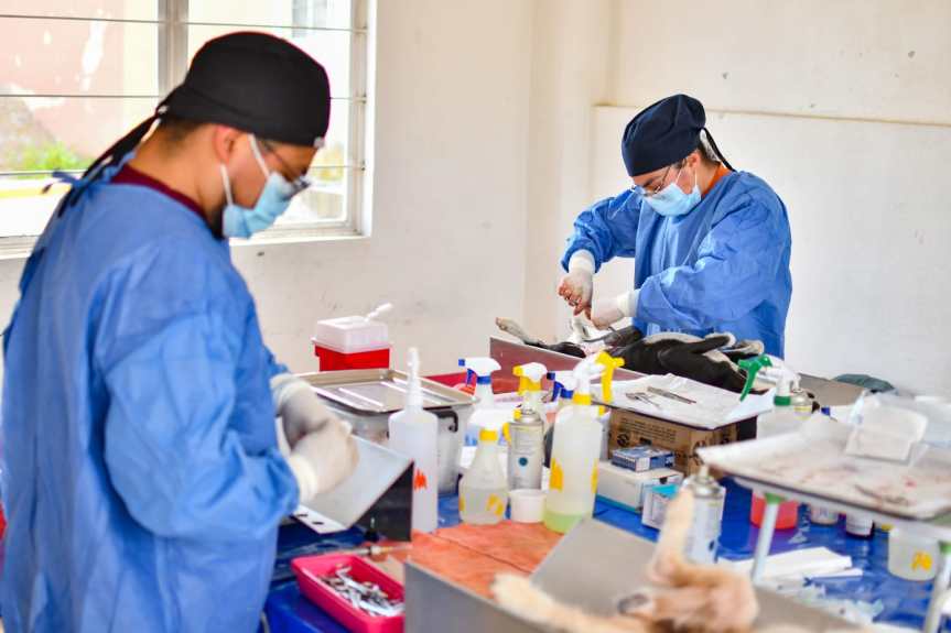 GOBIERNO DE HUAMANTLA CONCLUIRÁ CAMPAÑA DE ESTERILIZACIÓN DE PERROS Y GATOS EN CINCO&nbsp;COMUNIDADES