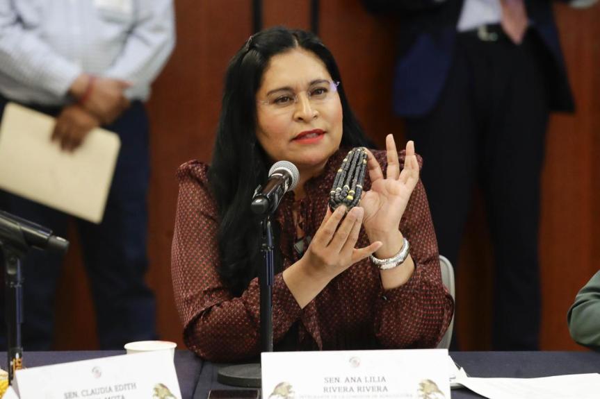 Aprueban en Comisiones del Senado minuta de reforma constitucional para proteger el maíz nativo. Ana Lilia&nbsp;Rivera: