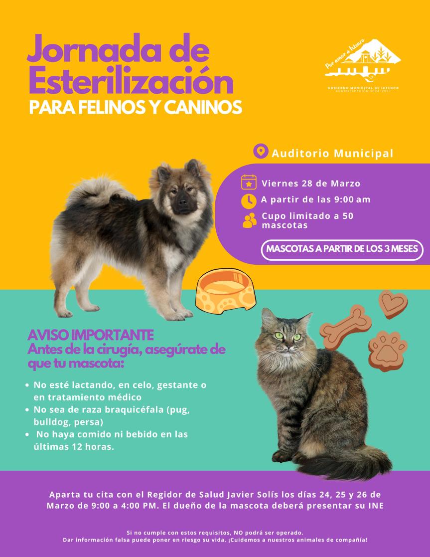 Ixtenco impulsa jornada de esterilización canina y felina con apoyo del Centro Veterinario&nbsp;Antirrábico