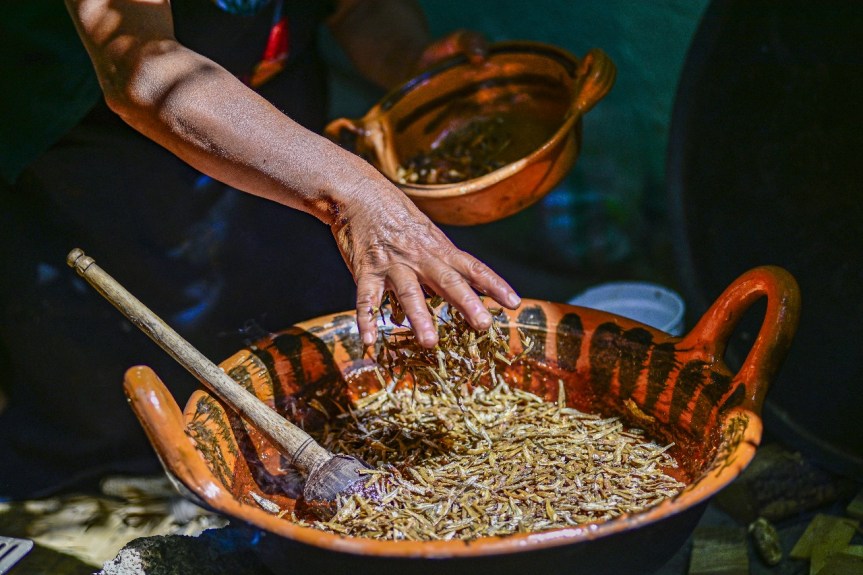 CHILPOPOSO Y ATOLE DE NOPAL LOS DOS PROTAGONISTAS EN EL SEGUNDO EPISODIO DE “SABOR Y RAÍZ POR AMOR A&nbsp;HUAMANTLA”