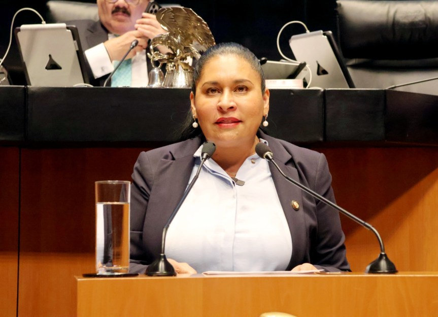 Propone Ana Lilia Rivera duplicar penas y participación de SEDENA contra el delito de tala&nbsp;ambiental