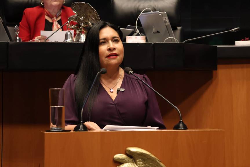 Fortalece Senado el control estatal de las armas de fuego y explosivos a través de reformas&nbsp;legales