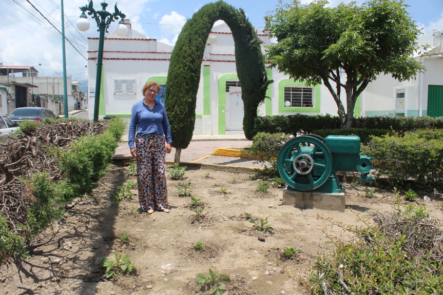 Mejoras en Chapultepec: Reforestación y Farmacia&nbsp;Verde