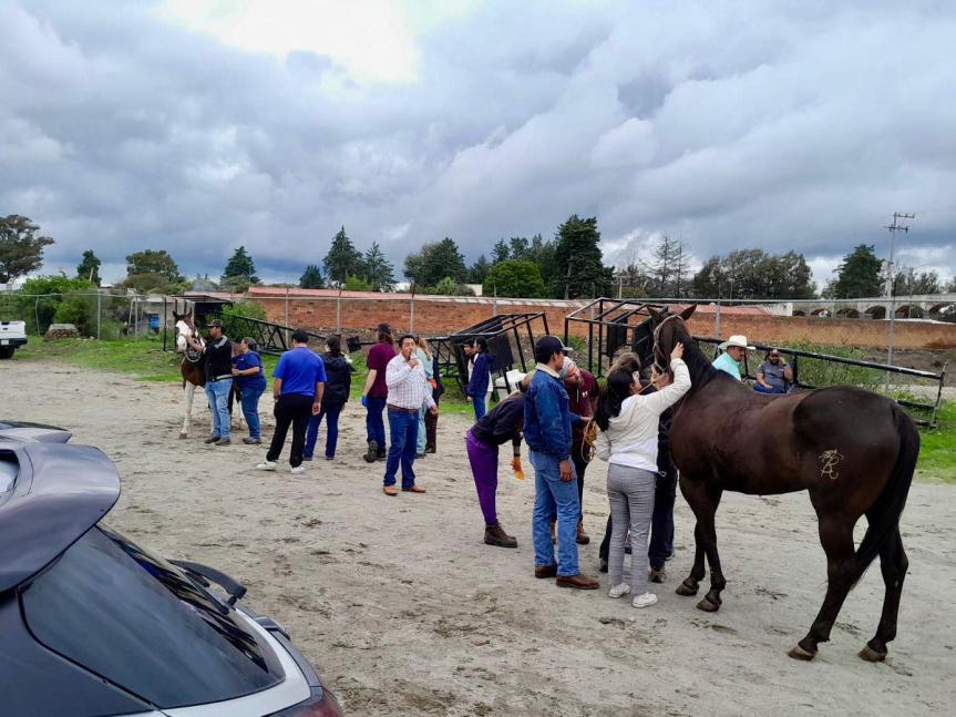 REALIZAN JORNADA MÉDICA PARA EQUINOS EN&nbsp;HUAMANTLA