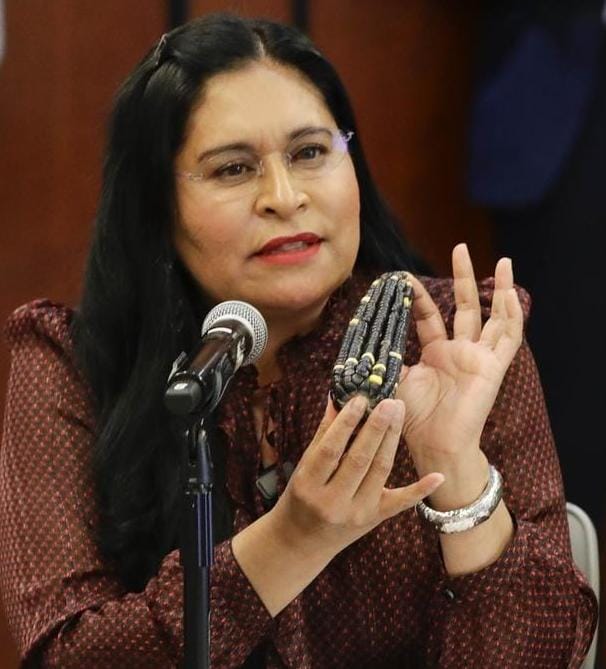 Hijos del maíz y Ana Lilia Rivera celebran demanda legal que impide siembra de transgénicos en&nbsp;México